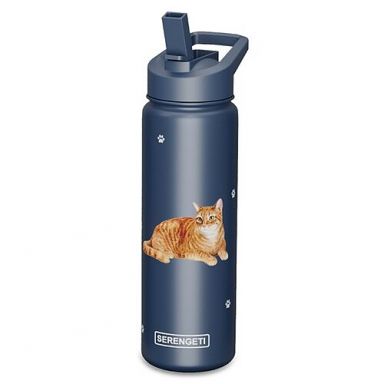 Water Bottle - Orange Tabby